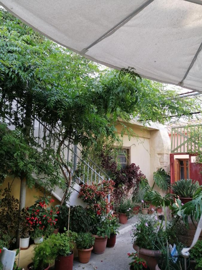 "Eirini" Traditional House Creta Archanes, Αρχάνες Σπίτι Exterior photo